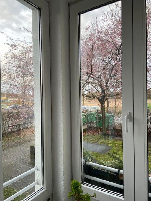 Nahe Airport Ber/ Adlershof Apartment Schoenefeld Exterior photo