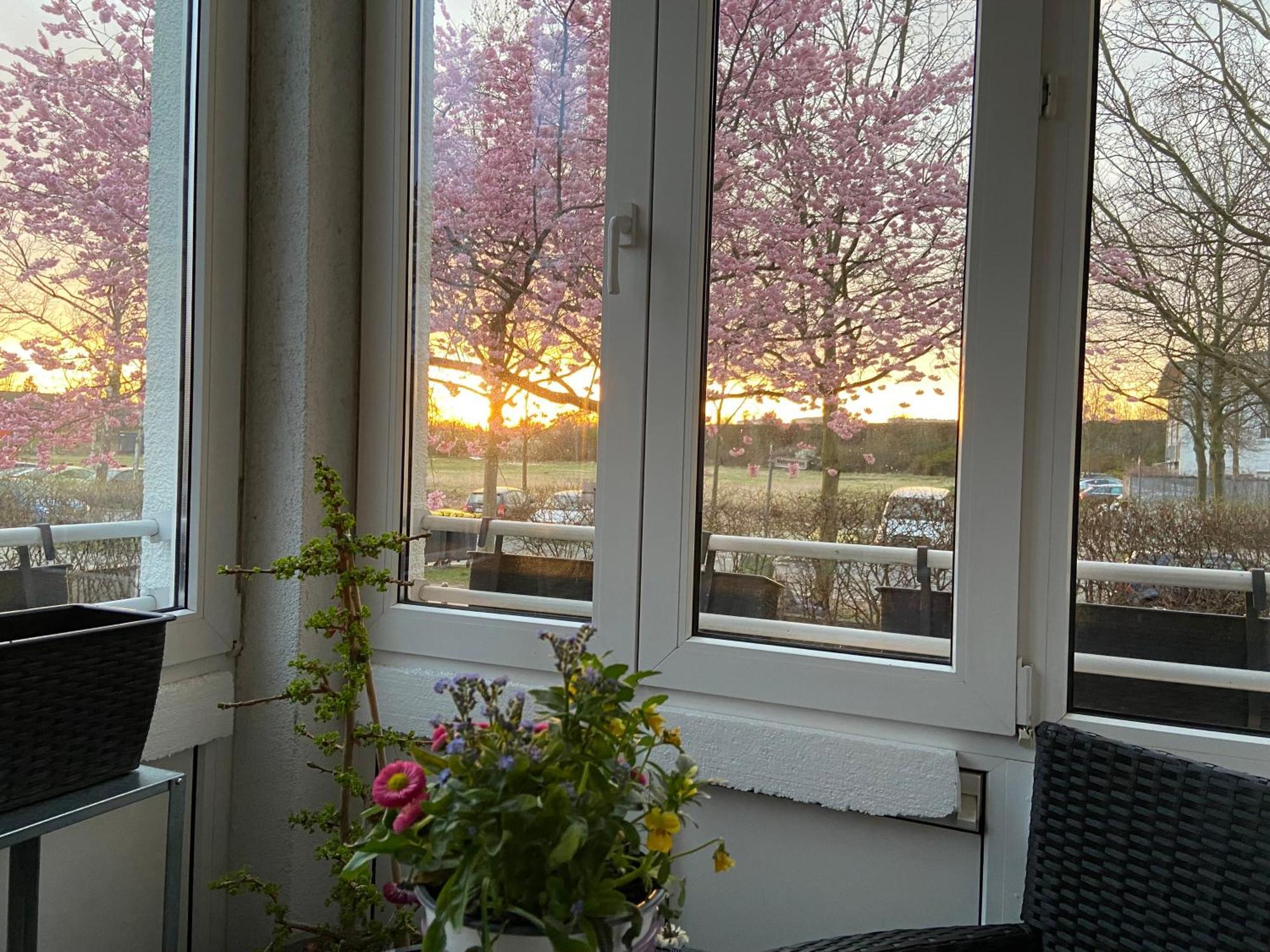 Nahe Airport Ber/ Adlershof Apartment Schoenefeld Exterior photo